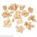 Wooden Blocks 100 Pc Wood Building Block Set with Carrying Bag and Container Natural Colored 100% Real Wood B00FIX7ZWK